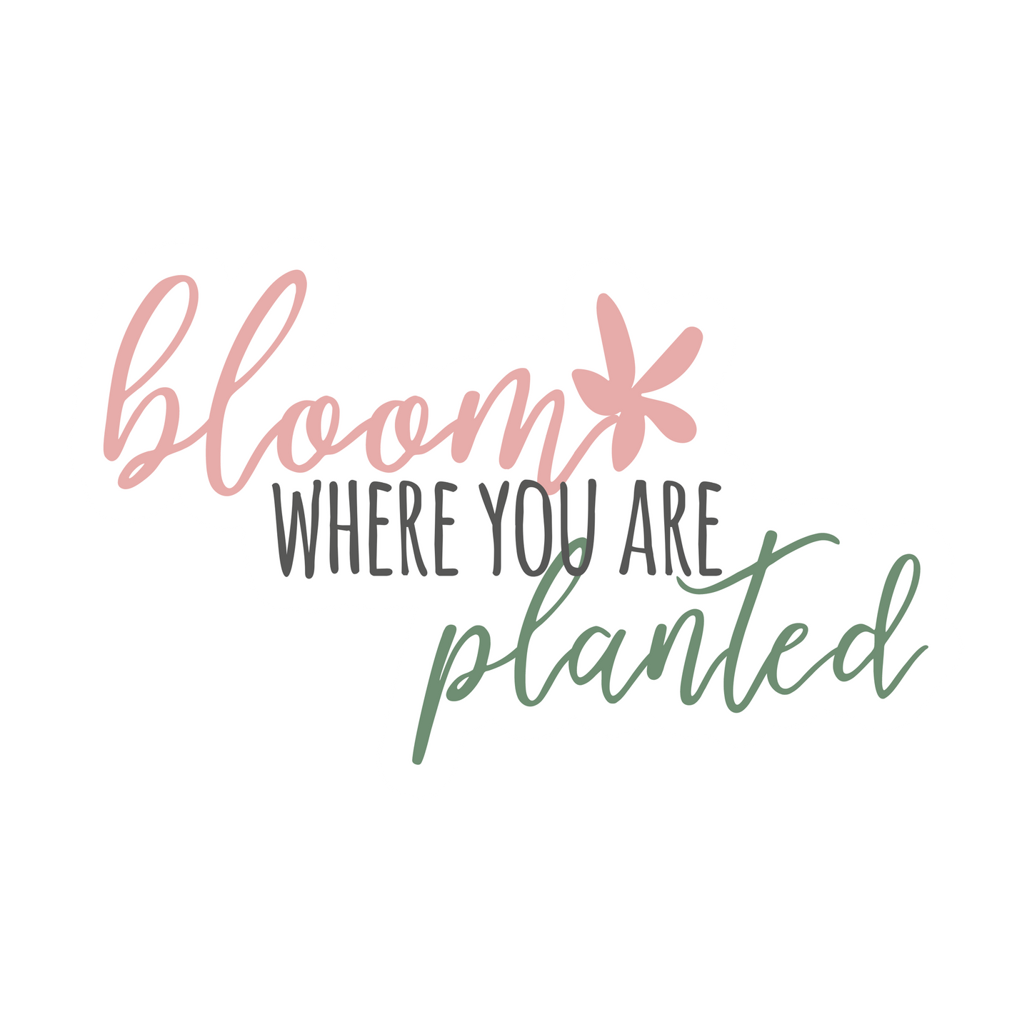 Bloom where you are planted