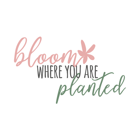 Bloom where you are planted