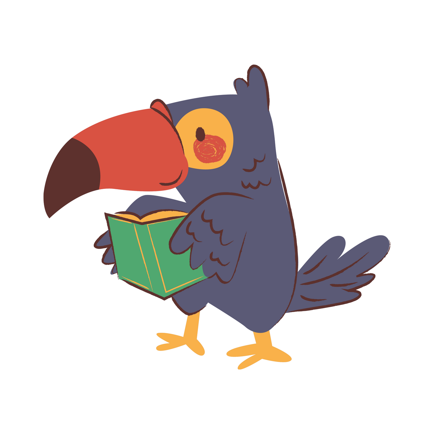 Toucan reading