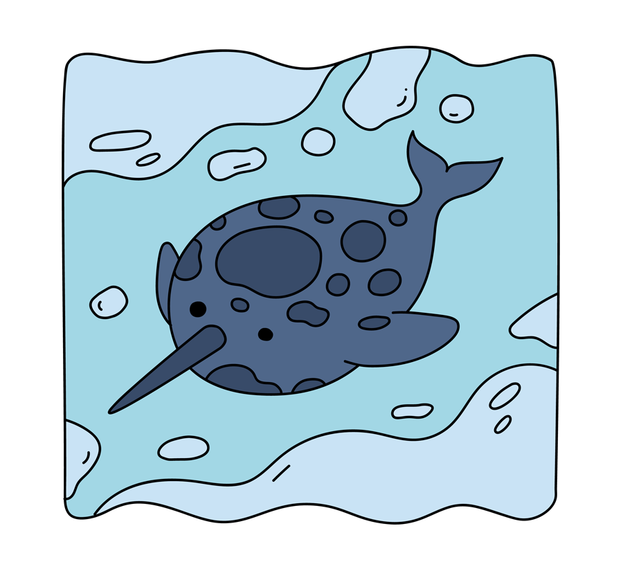 Narwhal Magnetic Bookmark